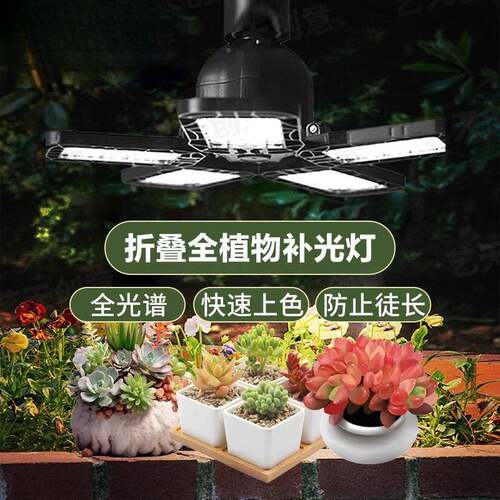 光谱物灯仿太阳植物补光灯室内阳台植绿热植花烛龟背竹生长QXF植