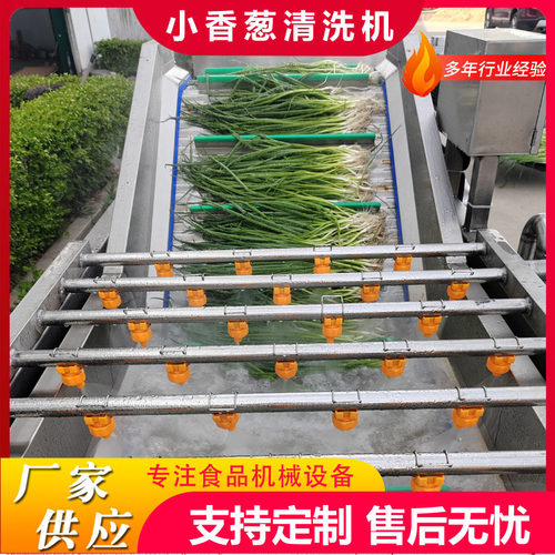 小葱喷淋气泡清洗机 水浴式大葱清洗机全自动蔬菜鼓泡翻滚清洗机
