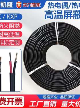 厂家直供国标镍硅KX测温线延长耐高温线KXP耐高温带屏蔽测温导线