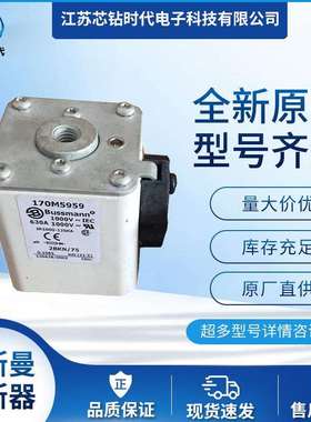 170M5958 170M5959 巴斯曼BUSSMANN熔断器保险丝