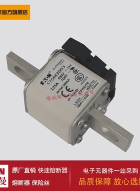 熔断器170M3694 170M3695 170M3696 170M3697 170M4688 170M4689