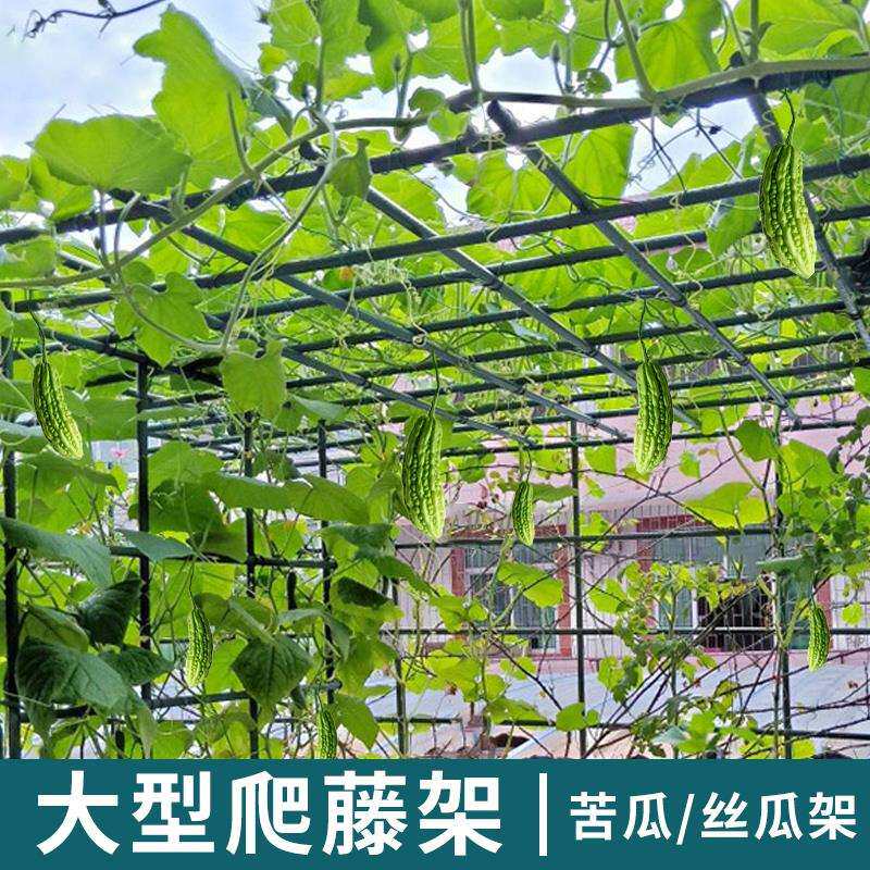 苦瓜架葡萄架子葫芦爬藤架猕猴桃藤架丝瓜百香果庭院户外支架牵引