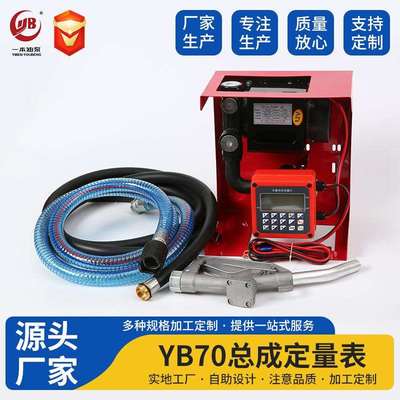 定量加油泵 YB70 柴油泵 加油泵 DC Fuel Transfer Pump Kit抽油
