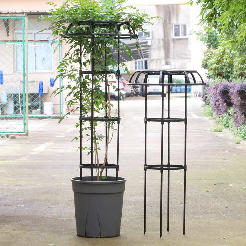 伞型植物爬藤架园艺藤本类月季绿萝爬藤花支架支柱玫瑰盆栽支撑杆