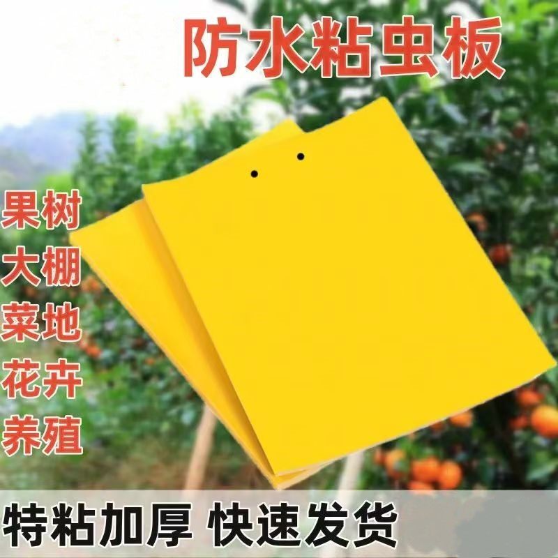 粘虫板果蝇诱虫板菜地驱虫神器驱蚊蝇针蜂苍蝇防虫贴马黄板