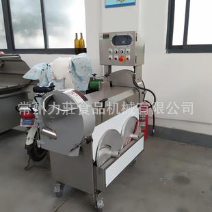 切丝机 烟草荷叶生姜商用自动萝卜切丁机 土豆常州双头切菜机