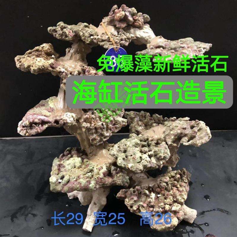 yut海缸造景高钙深海活石免爆藻活石造景小海缸造景悬浮造景石珊