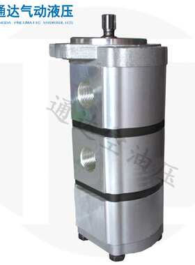 天津天机CBT-F310/10/04S5S6HR1K挖掘机装载机配件液压泵齿轮油泵