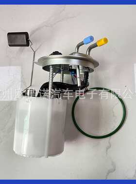 13512935, SP6753M 13513343, 13513344, 13535373燃油泵总成