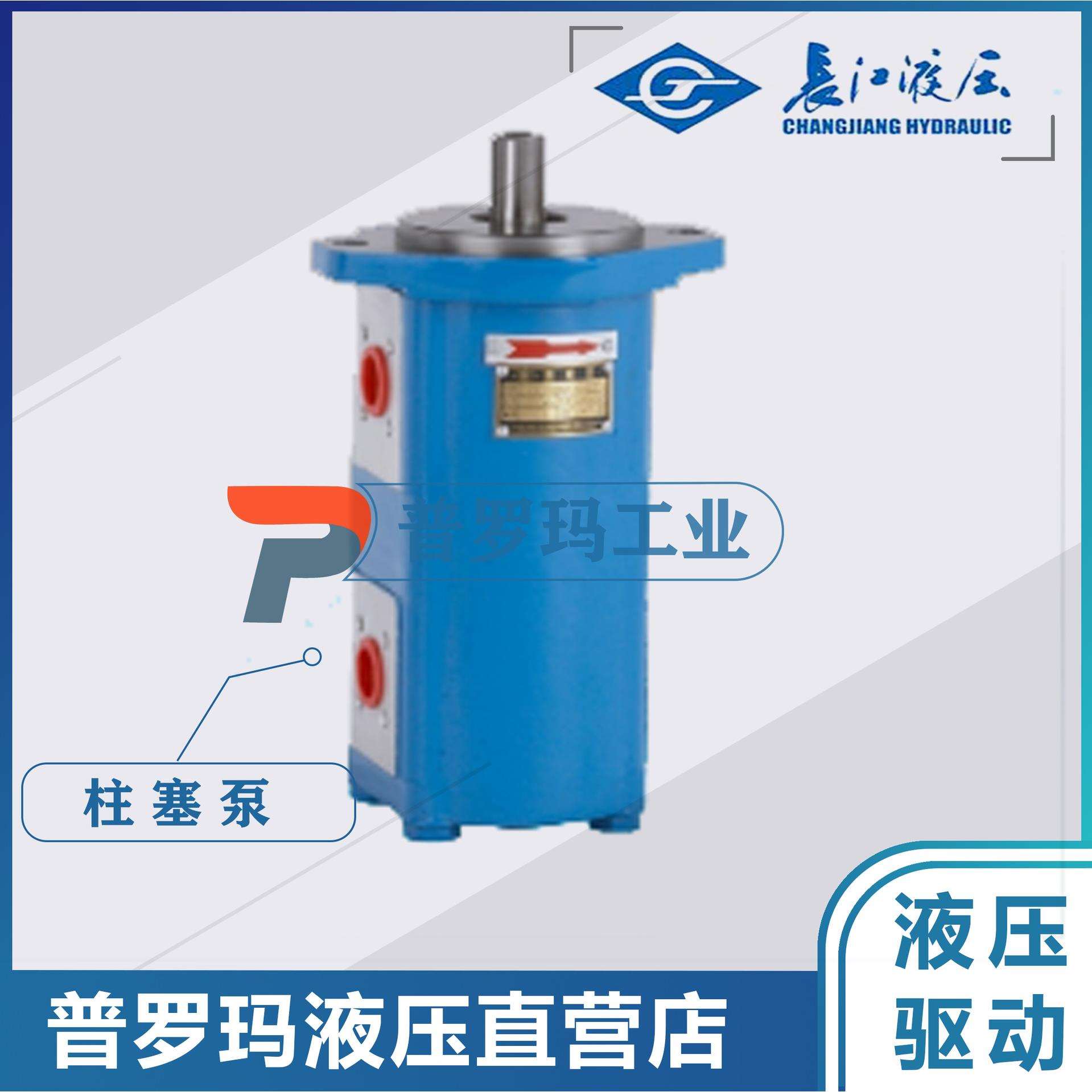 长江齿轮泵CMK1004/1006/1008/1010/1012/1016/1020/25-B4D-439LR