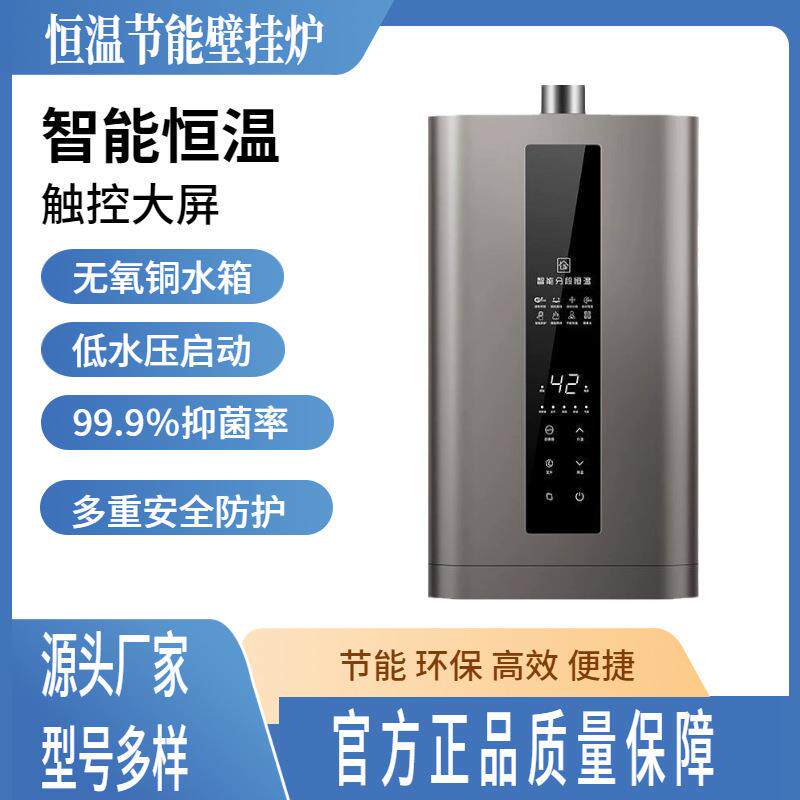 壁挂炉地暖洗浴两用厂家家用高端采暖恒温蒸汽供暖炉进口