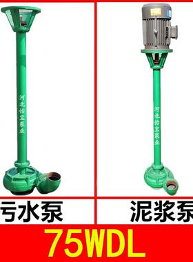 75WDL污水泵 泥浆泵 河道鱼塘清淤泵 立式排污泵 杆泵3寸