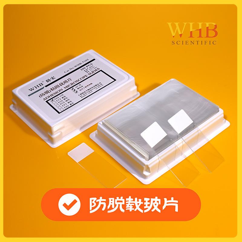 WHB防脱载玻片高清显微镜细胞培养长方形玻璃镜片实验室耗材