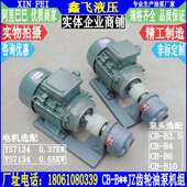 0.37 0.55KW B10JZ B2.5JZ齿轮油泵电机组YS7134 B4JZ B6JZ