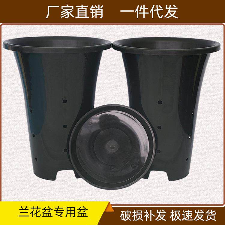 兰花塑料花盆高脚透气黑色国兰龙岩素小盆栽绿植园艺育苗厂价直批