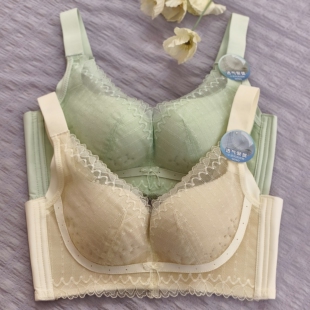 香蜜闺秀聚拢无钢圈亲肤绵蚕丝莫代尔里料调整了聚拢文胸!