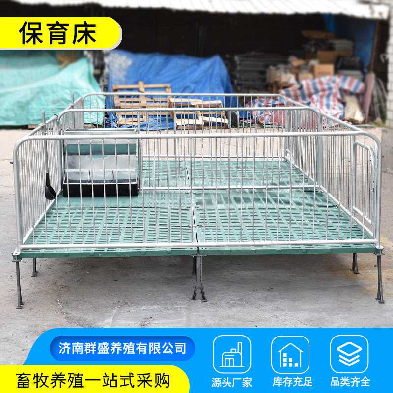 单体母猪产床分娩床复合保育床养母猪专用养殖设备产床保育床