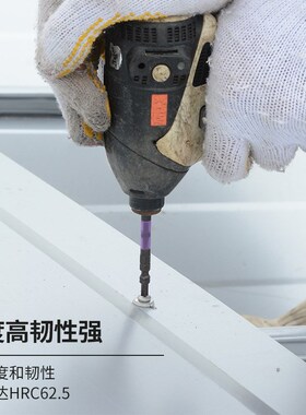 ANEX安力士进口ABRS黑色龙型批头十字PH2带磁耐冲击40V风批嘴咀