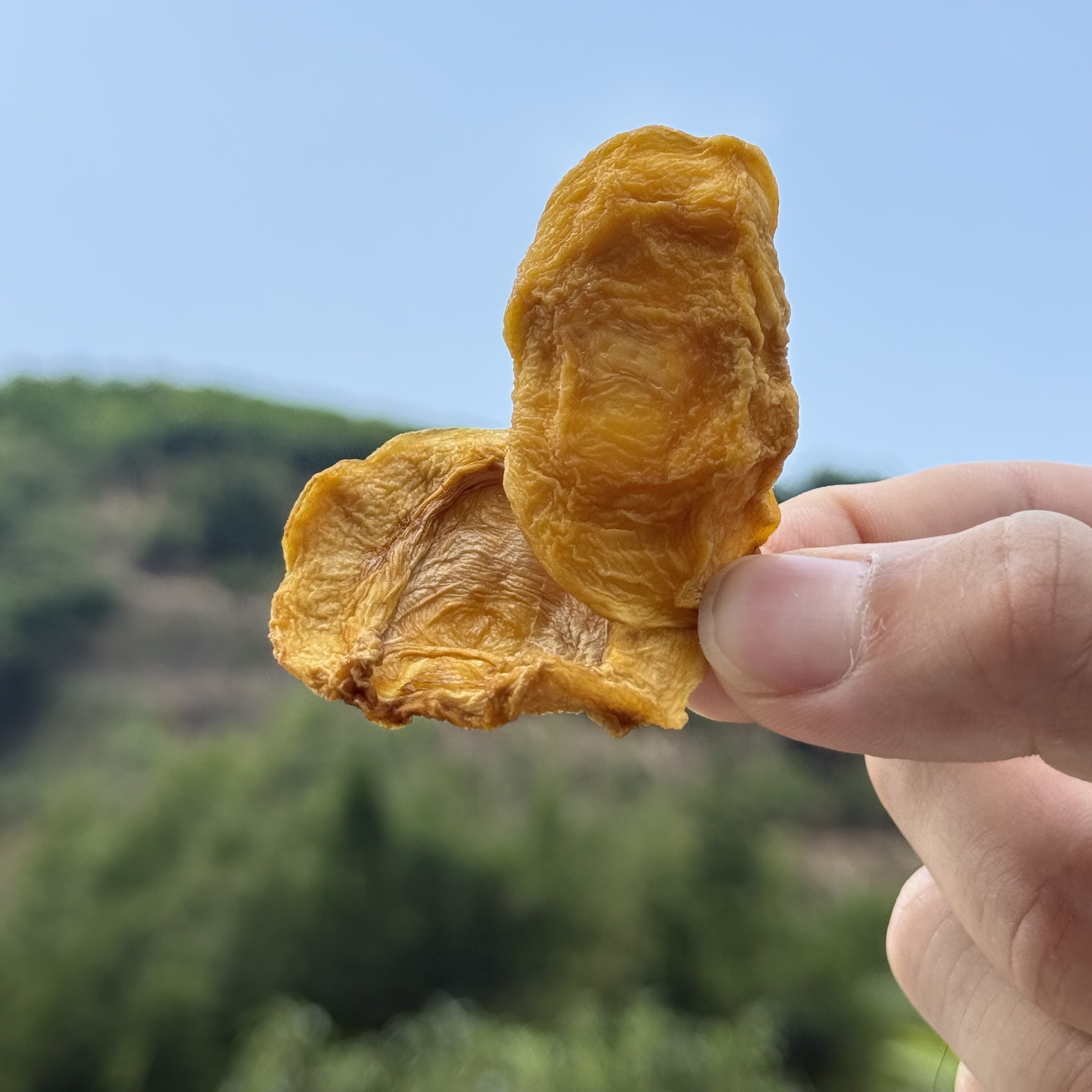 唐四果果攀枝花原味人参果干烘干未添加蔗糖水果茶休闲解馋小零食