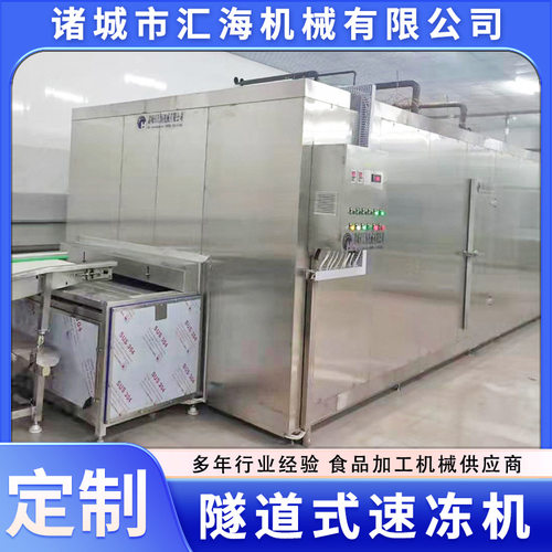 隧道式速冻机 肉食调理品速冻机 海鲜产品水果冻干速冻设备厂家