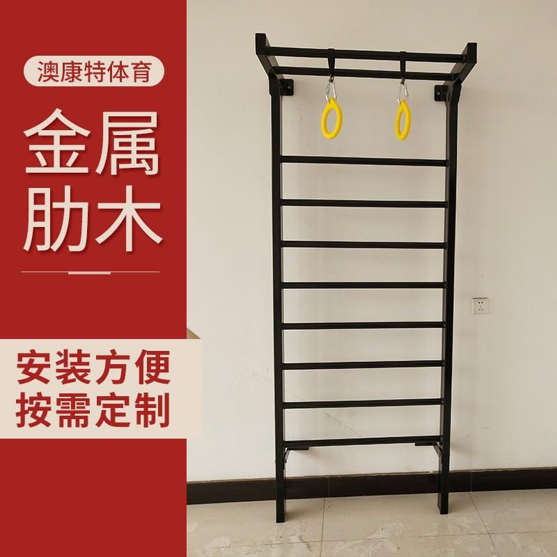 供货肋木架室内康复训练设施跳舞压腿架引体向上家用健身器材