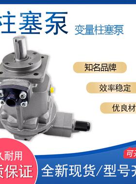 江苏恒源液压变量柱塞泵HY63Y-RPHY80SHY40M定量泵手动变量泵
