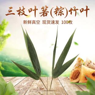 三枝叶箬(粽)竹叶日式迷你装饰摆盘粽子叶100片袋装真空新鲜粽叶