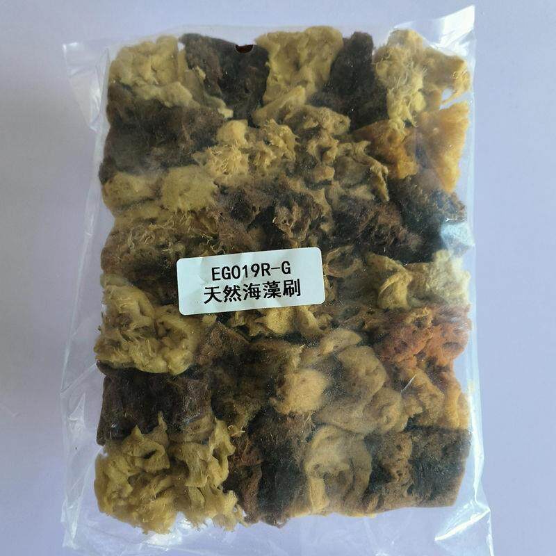 天然海藻拍艺术涂料万用艺术漆硅藻泥贝壳粉工具三色珠光