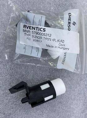 5790005312进口消声器