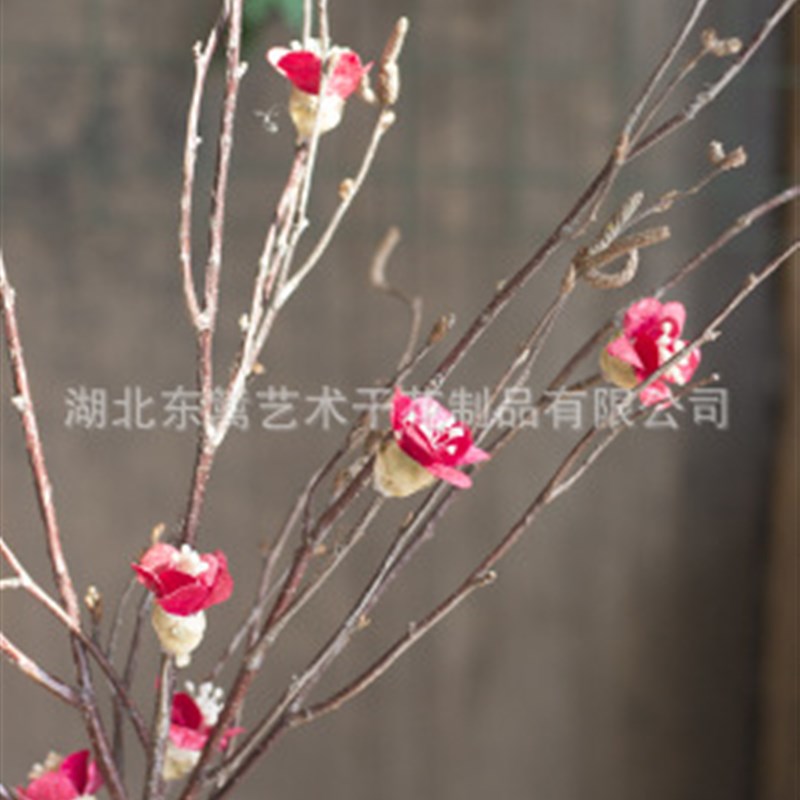 腊梅干花花束手工植物客厅书房电视柜艺术家居样板房插花干树枝
