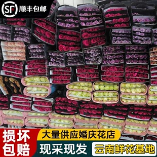 顺丰包邮玫瑰鲜切花云南直发香槟洛神年销花鲜花家庭插瓶花束水养