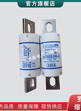 快速熔断器/保险丝A100P15-1A100P20-1A100P25-1A100P30-1现货