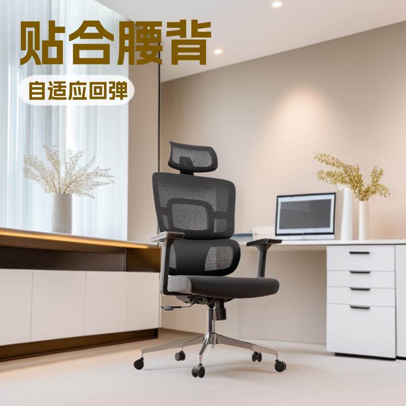 办公椅子人体工学电脑椅双背结构护腰设计电脑椅家用书房老板椅