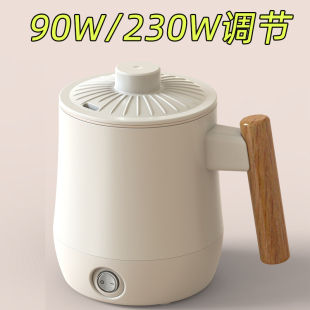 宿舍小功率烧水壶学生寝室迷你小型电热水壶100W200W煮面煮粥杯
