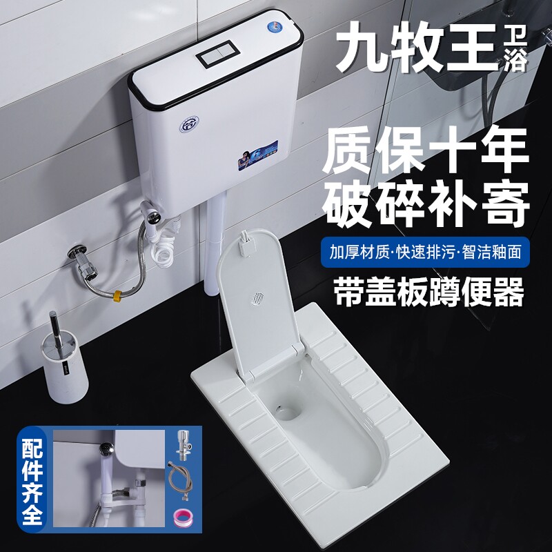JEOMRW家用带盖板蹲便器冲水箱整套装卫生间厕所蹲坑式便盆大便池