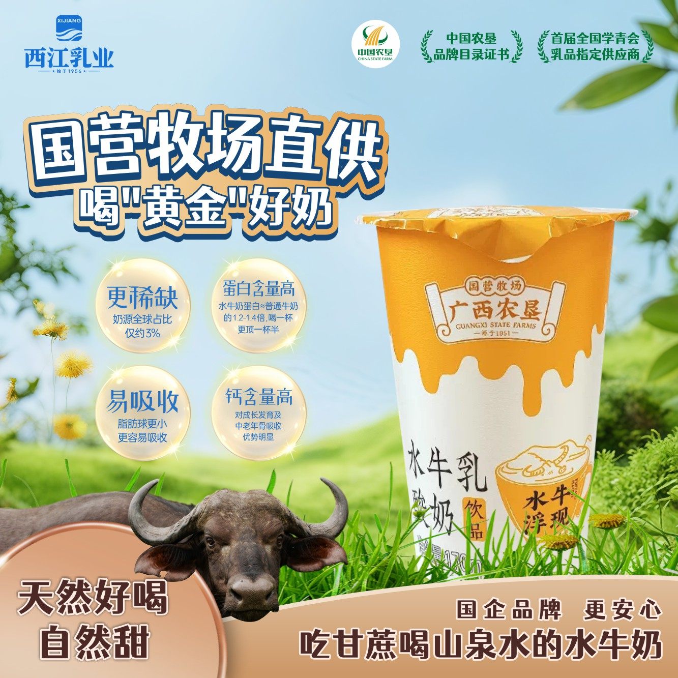 西江乳业水牛乳酸奶饮品酸甜经典怀旧酸奶饮品学生早餐奶,咖啡/麦片/冲饮,低温调制乳品,淘宝优惠券,粉丝福利购,淘宝优惠卷