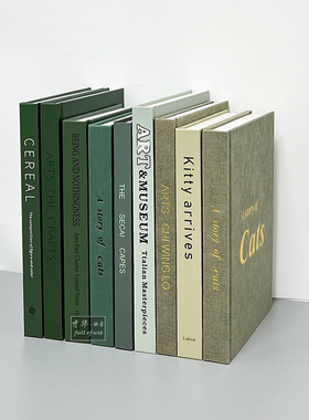 简约绿色装饰真书轻奢样板房书柜玄关可翻页仿真道具书籍饰品摆件