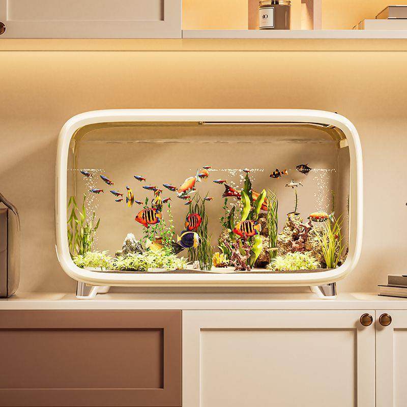 2025生态缸小型桌面收纳盒新款带盖透明水族箱鱼缸客厅家用造景