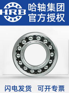 HRB22209CA/W33带锥度22209CAK/W33内径45哈尔滨调心滚子轴承