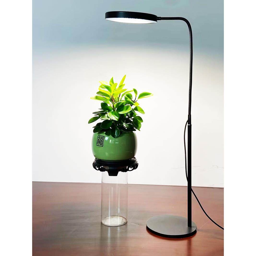 落地款座式全光谱植物生长灯定时桌面植物多肉防徒上色盆栽补光灯,玩具/童车/益智/积木/模型,毛绒/玩偶/公仔/布艺类玩具,淘宝优惠券,粉丝福利购,淘宝优惠卷