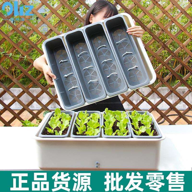 厂家阳台种菜神器自动吸水塑料花盆庭院种菜水培蔬菜种植盆加厚