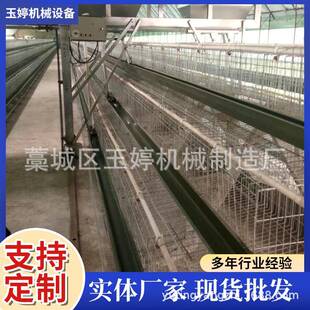 优质蛋鸡笼养殖场专用笼鸡笼子阶梯式蛋鸡笼养鸡设备养殖鸡笼全套