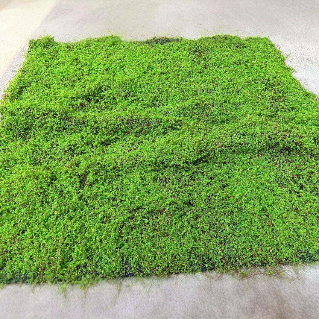 仿真植物苔藓草坪青苔植物墙绿植人造草坪装饰橱窗造景仿真苔藓