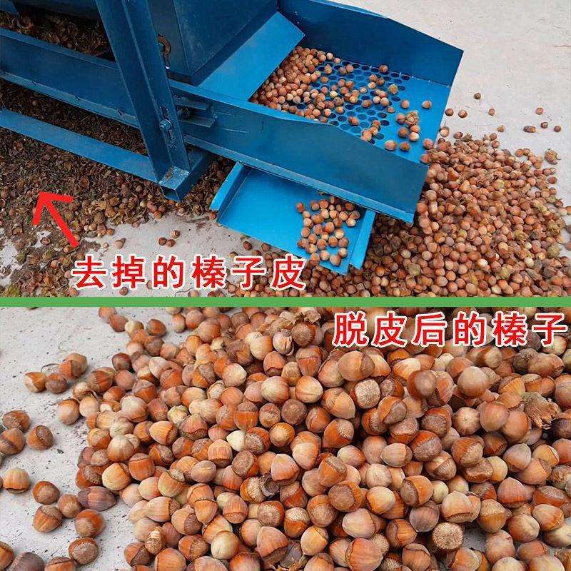 全机QUX自动商用农用榛子去皮剥壳器板剥栗脱皮机榛子打壳垒德株