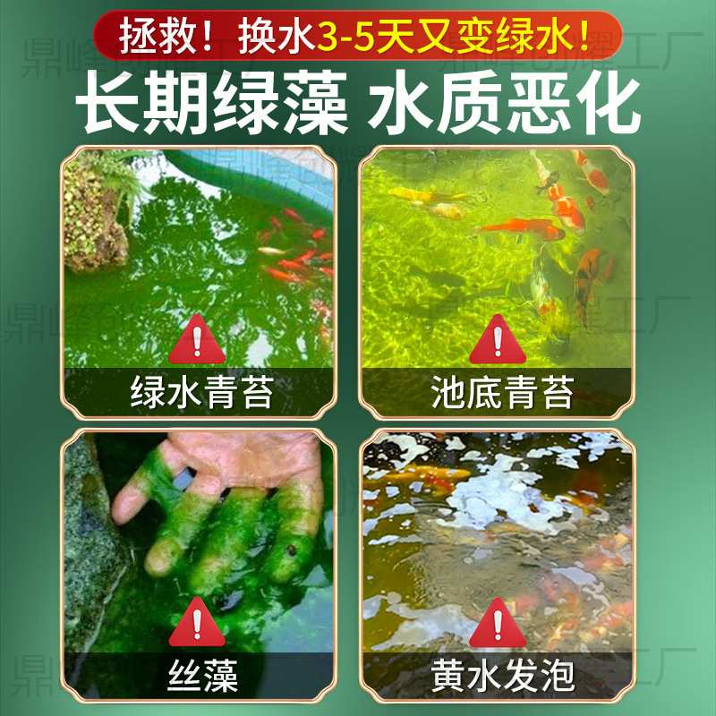 室外鱼池除藻剂去苔剂鱼塘户外鱼缸绿水绿藻水池青苔净清除剂