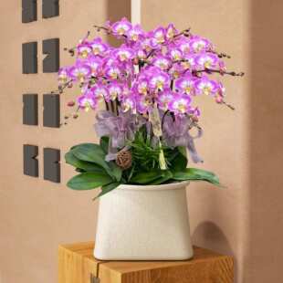 祥云丰收桶北欧铁艺金色花桶银柳大麦蝴蝶兰简约轻奢冬青海棠花器