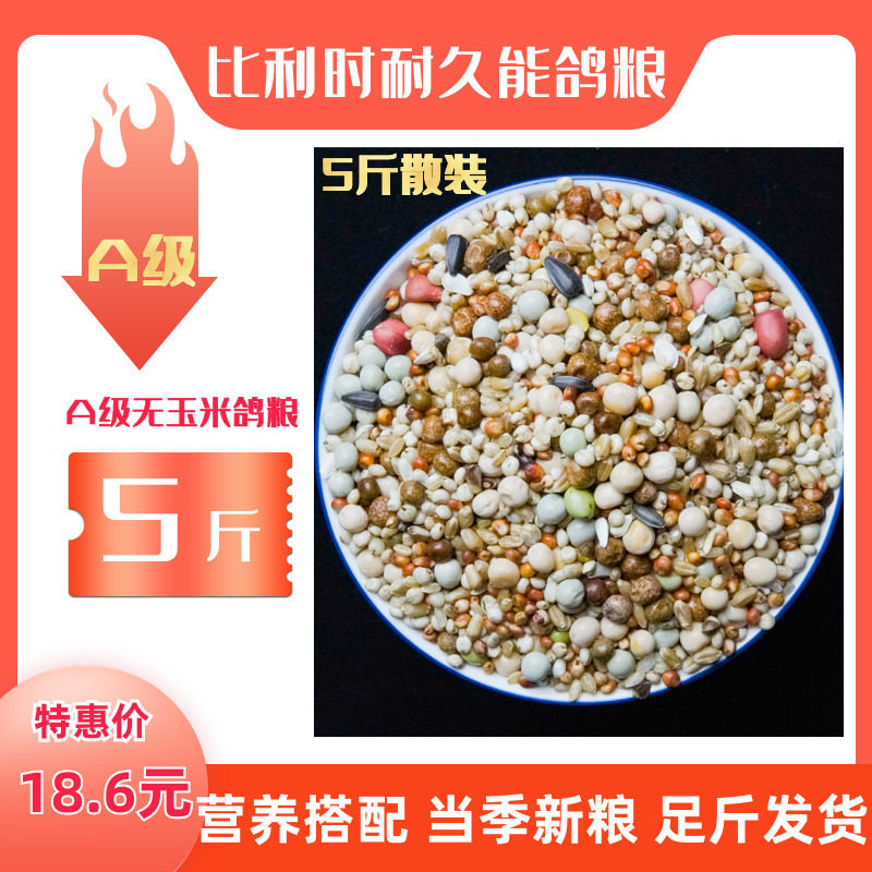 5斤鸽粮无玉米比利时耐久能A级营养赛飞信鸽饲料观赏鸽子饲料鸟食