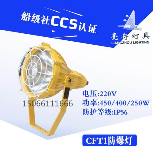 上海船用防爆投光灯CFT1铝质铜质网罩IP56带镇流器400W/450W