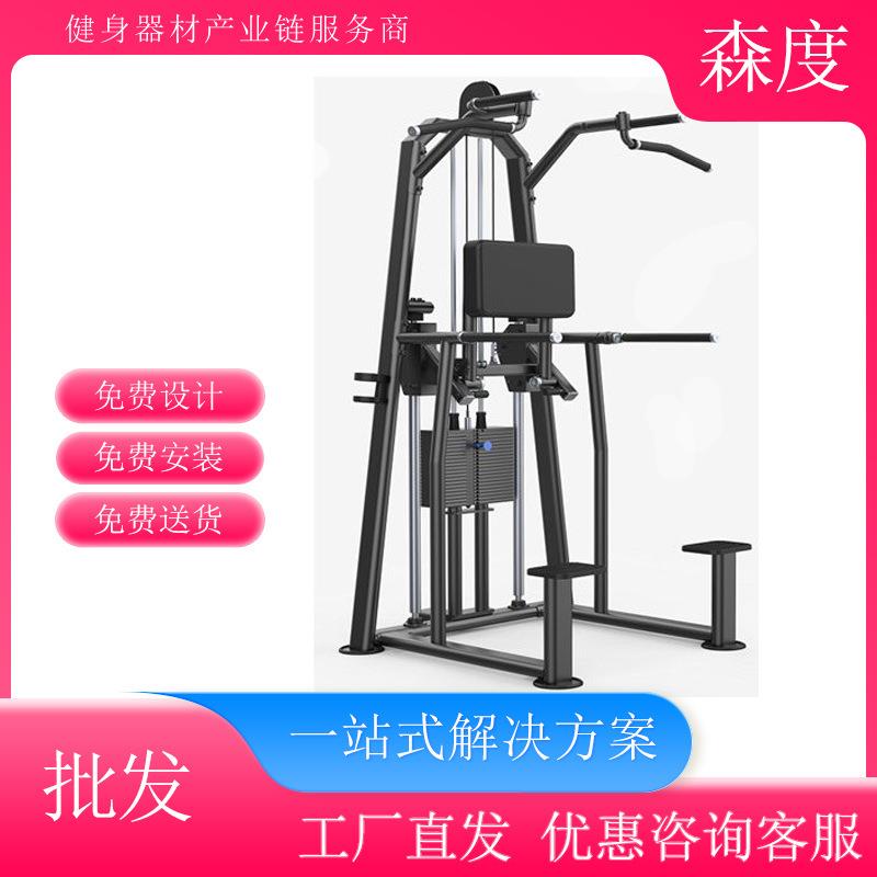 正伦AEONGS-713辅助式引体向上训练器健身房健身器材工厂直发包邮