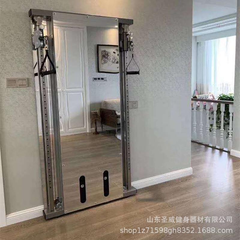 壁挂墙体小飞鸟龙门架单边贴墙飞鸟综合训练器镜面飞鸟健身架家用